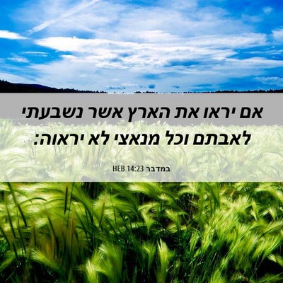 Picture 06 - במדבר 14:23 HEB - אם יראו את הארץ אשר נשבעתי - Bible Verse Picture