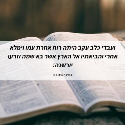 Picture 06 - במדבר 14:24 HEB - ועבדי כלב עקב היתה רוח אחרת - Bible Verse Picture