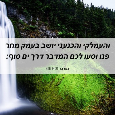 Picture 06 - במדבר 14:25 HEB - והעמלקי והכנעני יושב בעמק - Bible Verse Picture