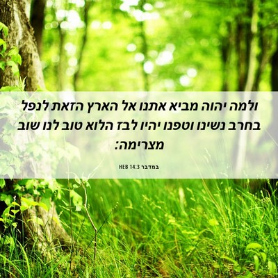 Picture 06 - במדבר 14:3 HEB - ולמה יהוה מביא אתנו אל הארץ - Bible Verse Picture
