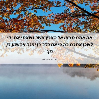 Picture 06 - במדבר 14:30 HEB - אם אתם תבאו אל הארץ אשר - Bible Verse Picture