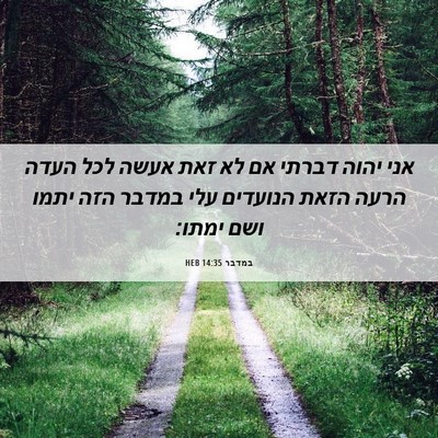 Picture 06 - במדבר 14:35 HEB - אני יהוה דברתי אם לא זאת - Bible Verse Picture