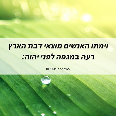 Picture 06 - במדבר 14:37 HEB - וימתו האנשים מוצאי דבת - Bible Verse Picture