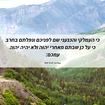 Picture 06 - במדבר 14:43 HEB - כי העמלקי והכנעני שם - Bible Verse Picture