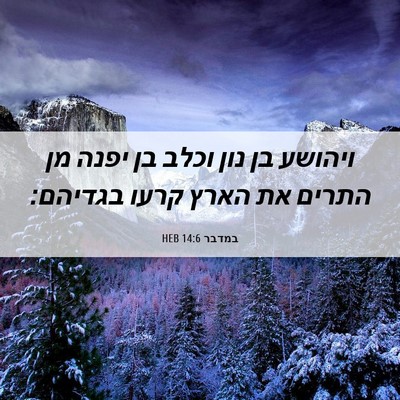 Picture 06 - במדבר 14:6 HEB - ויהושע בן נון וכלב בן יפנה - Bible Verse Picture