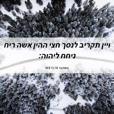 Picture 06 - במדבר 15:10 HEB - ויין תקריב לנסך חצי ההין - Bible Verse Picture