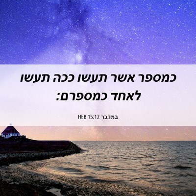 Picture 06 - במדבר 15:12 HEB - כמספר אשר תעשו ככה תעשו - Bible Verse Picture