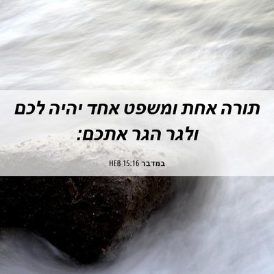 Picture 06 - במדבר 15:16 HEB - תורה אחת ומשפט אחד יהיה לכם - Bible Verse Picture