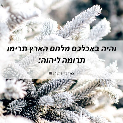 Picture 06 - במדבר 15:19 HEB - והיה באכלכם מלחם הארץ - Bible Verse Picture