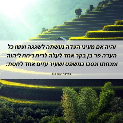 Picture 06 - במדבר 15:24 HEB - והיה אם מעיני העדה נעשתה - Bible Verse Picture