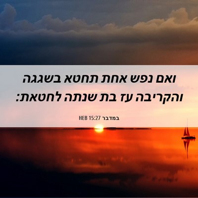 Picture 06 - במדבר 15:27 HEB - ואם נפש אחת תחטא בשגגה - Bible Verse Picture