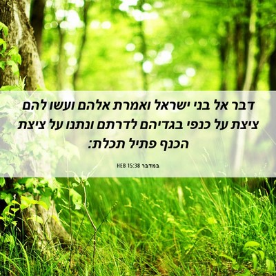 Picture 06 - במדבר 15:38 HEB - דבר אל בני ישראל ואמרת אלהם - Bible Verse Picture