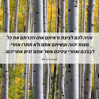 Picture 06 - במדבר 15:39 HEB - והיה לכם לציצת וראיתם אתו - Bible Verse Picture
