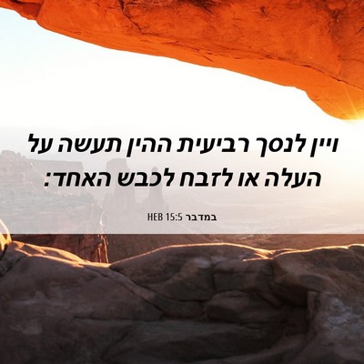 Picture 06 - במדבר 15:5 HEB - ויין לנסך רביעית ההין תעשה - Bible Verse Picture