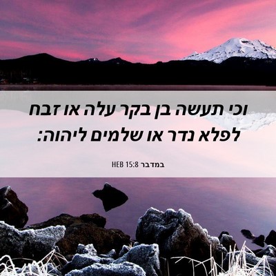 Picture 06 - במדבר 15:8 HEB - וכי תעשה בן בקר עלה או זבח - Bible Verse Picture