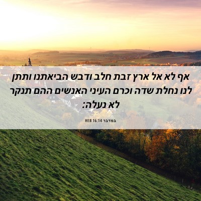 Picture 06 - במדבר 16:14 HEB - אף לא אל ארץ זבת חלב ודבש - Bible Verse Picture