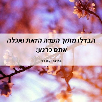 Picture 06 - במדבר 16:21 HEB - הבדלו מתוך העדה הזאת ואכלה - Bible Verse Picture