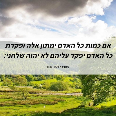 Picture 06 - במדבר 16:29 HEB - אם כמות כל האדם ימתון אלה - Bible Verse Picture