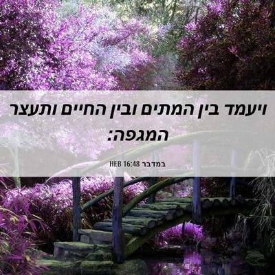 Picture 06 - במדבר 16:48 HEB - ויעמד בין המתים ובין החיים - Bible Verse Picture