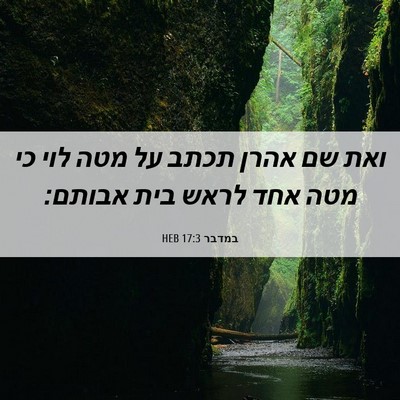 Picture 06 - במדבר 17:3 HEB - ואת שם אהרן תכתב על מטה לוי - Bible Verse Picture
