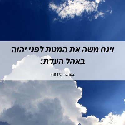 Picture 06 - במדבר 17:7 HEB - וינח משה את המטת לפני יהוה - Bible Verse Picture