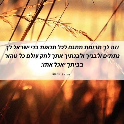 Picture 06 - במדבר 18:11 HEB - וזה לך תרומת מתנם לכל תנופת - Bible Verse Picture