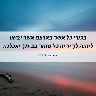 Picture 06 - במדבר 18:13 HEB - בכורי כל אשר בארצם אשר - Bible Verse Picture