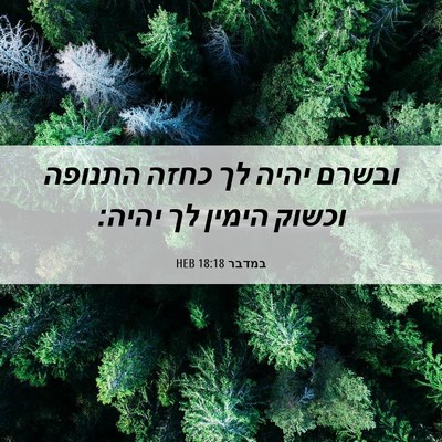 Picture 06 - במדבר 18:18 HEB - ובשרם יהיה לך כחזה התנופה - Bible Verse Picture