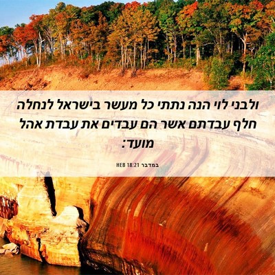 Picture 06 - במדבר 18:21 HEB - ולבני לוי הנה נתתי כל מעשר - Bible Verse Picture