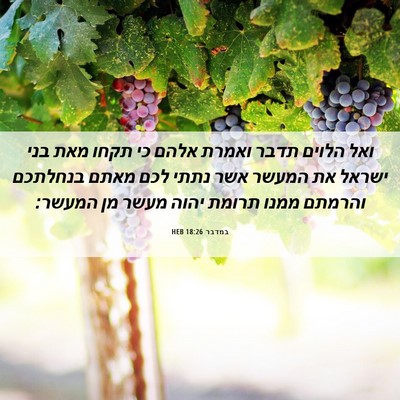 Picture 06 - במדבר 18:26 HEB - ואל הלוים תדבר ואמרת אלהם - Bible Verse Picture
