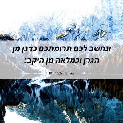 Picture 06 - במדבר 18:27 HEB - ונחשב לכם תרומתכם כדגן מן - Bible Verse Picture