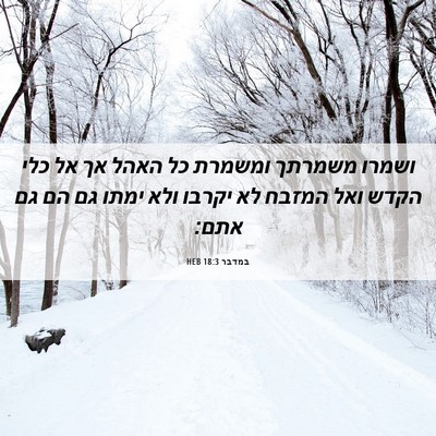 Picture 06 - במדבר 18:3 HEB - ושמרו משמרתך ומשמרת כל - Bible Verse Picture
