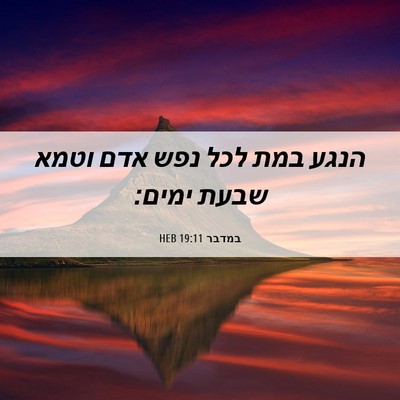 Picture 06 - במדבר 19:11 HEB - הנגע במת לכל נפש אדם וטמא - Bible Verse Picture