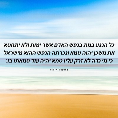 Picture 06 - במדבר 19:13 HEB - כל הנגע במת בנפש האדם אשר - Bible Verse Picture