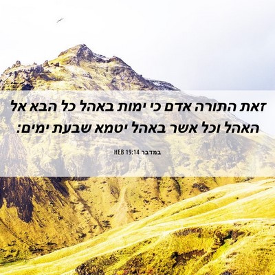 Picture 06 - במדבר 19:14 HEB - זאת התורה אדם כי ימות באהל - Bible Verse Picture