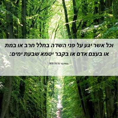 Picture 06 - במדבר 19:16 HEB - וכל אשר יגע על פני השדה - Bible Verse Picture