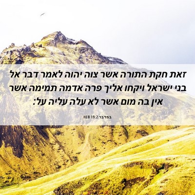 Picture 06 - במדבר 19:2 HEB - זאת חקת התורה אשר צוה יהוה - Bible Verse Picture
