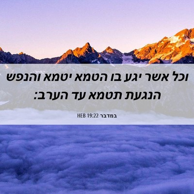 Picture 06 - במדבר 19:22 HEB - וכל אשר יגע בו הטמא יטמא - Bible Verse Picture