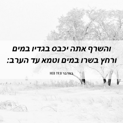 Picture 06 - במדבר 19:8 HEB - והשרף אתה יכבס בגדיו במים - Bible Verse Picture