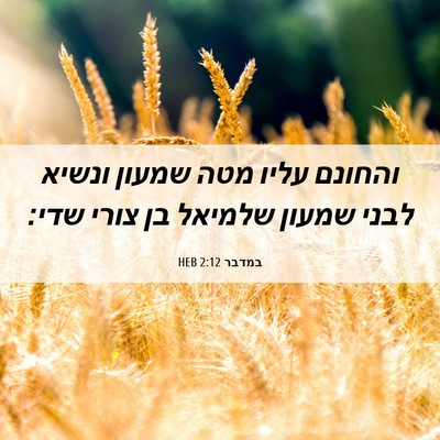 Picture 06 - במדבר 2:12 HEB - והחונם עליו מטה שמעון - Bible Verse Picture