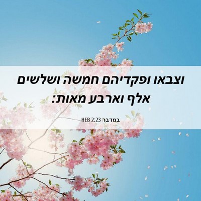 Picture 06 - במדבר 2:23 HEB - וצבאו ופקדיהם חמשה ושלשים - Bible Verse Picture