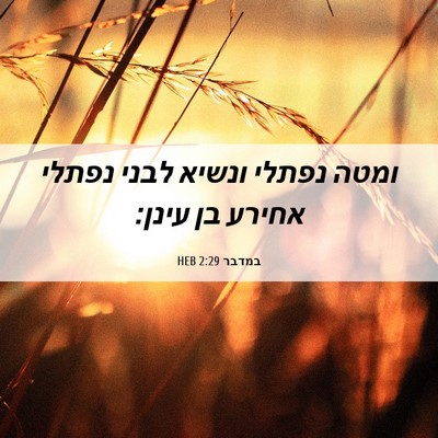 Picture 06 - במדבר 2:29 HEB - ומטה נפתלי ונשיא לבני - Bible Verse Picture