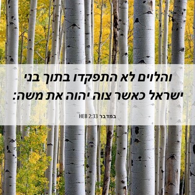 Picture 06 - במדבר 2:33 HEB - והלוים לא התפקדו בתוך בני - Bible Verse Picture