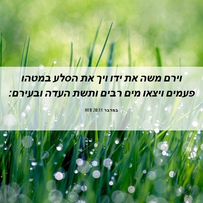 Picture 06 - במדבר 20:11 HEB - וירם משה את ידו ויך את הסלע - Bible Verse Picture