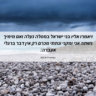 Picture 06 - במדבר 20:19 HEB - ויאמרו אליו בני ישראל - Bible Verse Picture
