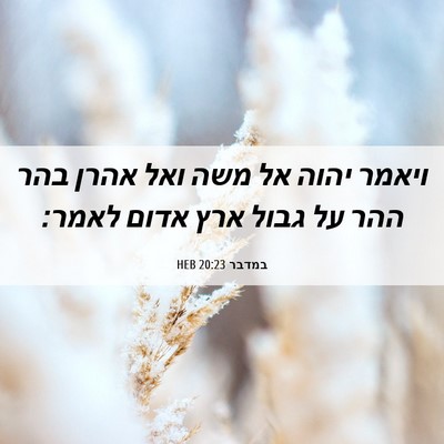 Picture 06 - במדבר 20:23 HEB - ויאמר יהוה אל משה ואל אהרן - Bible Verse Picture