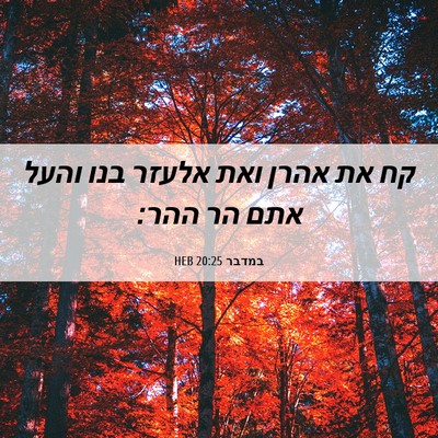 Picture 06 - במדבר 20:25 HEB - קח את אהרן ואת אלעזר בנו - Bible Verse Picture
