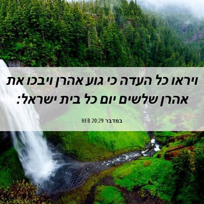 Picture 06 - במדבר 20:29 HEB - ויראו כל העדה כי גוע אהרן - Bible Verse Picture