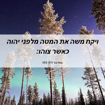 Picture 06 - במדבר 20:9 HEB - ויקח משה את המטה מלפני יהוה - Bible Verse Picture
