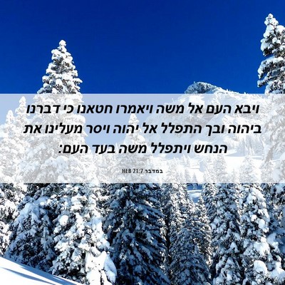 Picture 06 - במדבר 21:7 HEB - ויבא העם אל משה ויאמרו - Bible Verse Picture